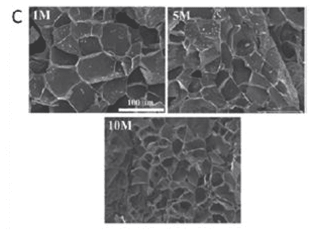 SEM images of GelMA hydrogels, showing the effect of the degree of methacryloyl substitution on the pore sizes of GelMA hydrogels